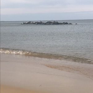 Meet your Posher, Tanner